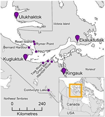 Supporting Inuit food sovereignty through collaborative research of an at-risk caribou herd